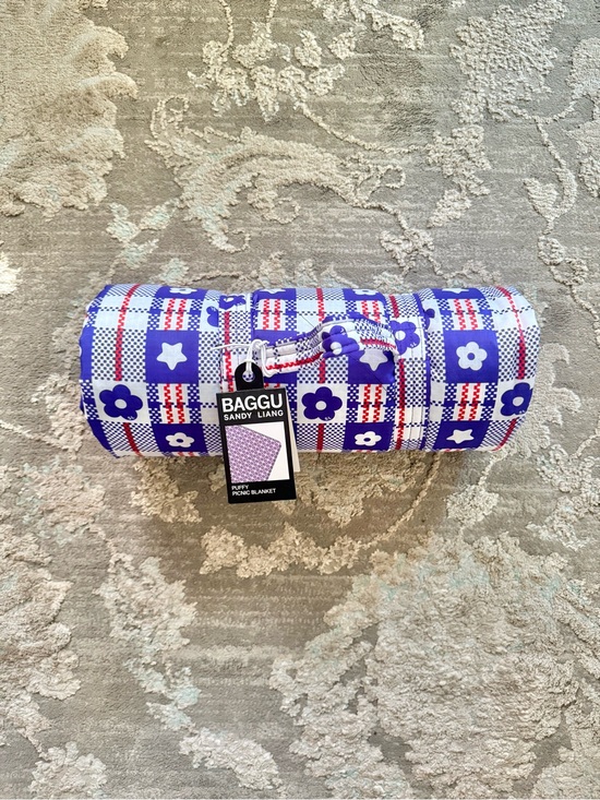 BAGGU Other - BAGGU x Sandy Liang Puffy Picnic Blanket - Market Plaid Blue